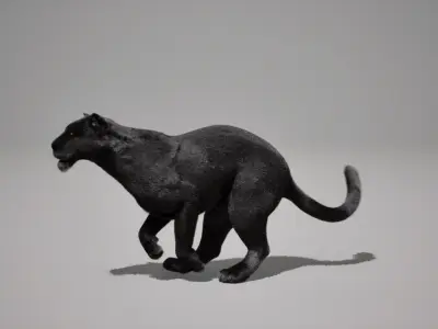 Black Jaguar Animated UNREAL project  Maya base rig 3D model