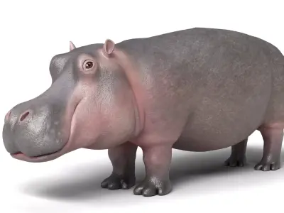 Hippopotamus Animal Rigged Low-poly 3D model