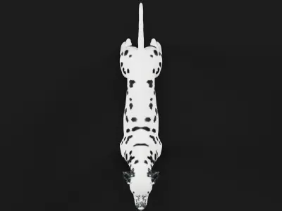 Dalmatian Dog Breed 3D model