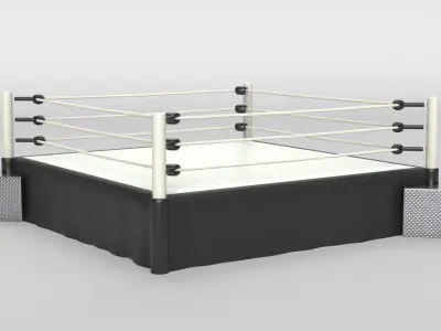 Wrestling Ring 3D model