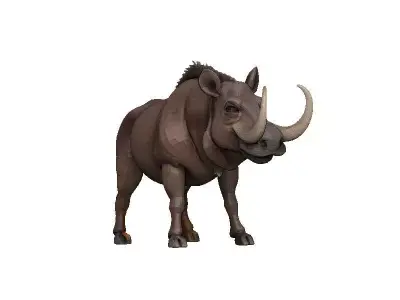 Warthog Low-poly 3D model