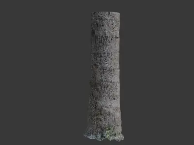 Realistic 3D Scanned Palm Tree Trunks Low-poly 3D model