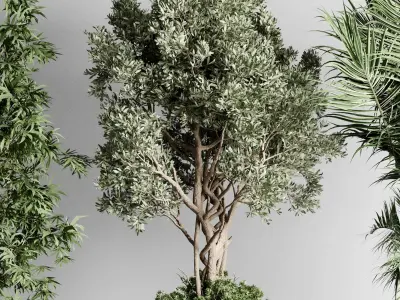 Indoor Plants in kristal - luxury of homes Pot 471 3D model