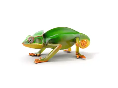 Chameleon Reptile Model Pack for Versatile D Use Low-poly 3D model