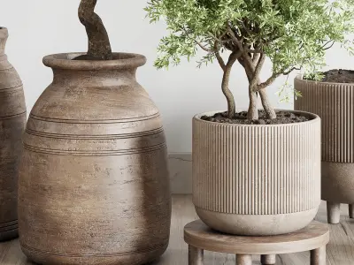 indoor outdoor plant 141 vase concrete wood old pot tree 3D model