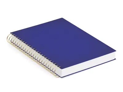 Notebook 1 spiral 3D model