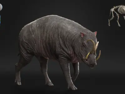 Babirusa warthog 3D model