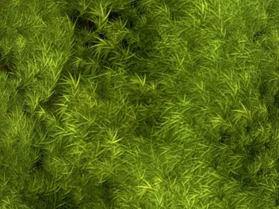 Broom Fork Moss Sparse Version Substance Material and Texture