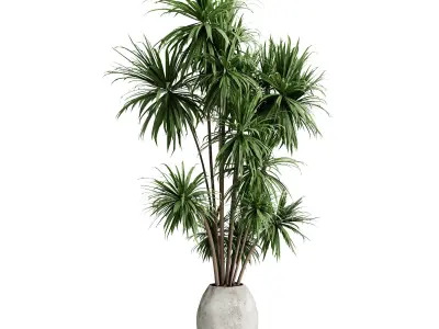 palm branch in a concrete pot - set indoor plant 619  3D model