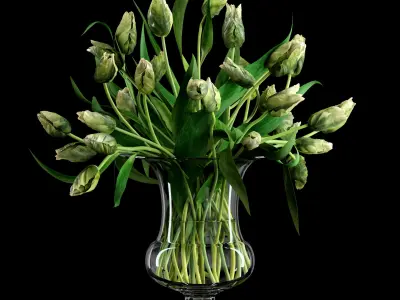 Green Parrot Tulips 3D model