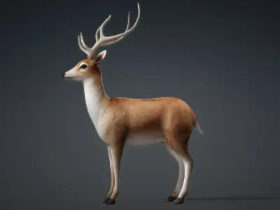 Deer-C1 3D model