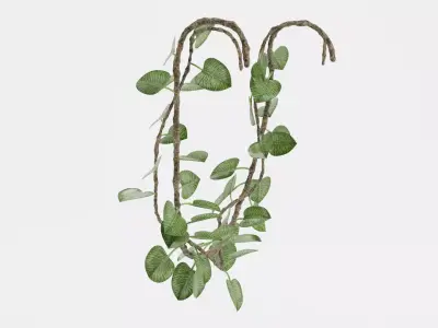 -Liana Plant V3- 3D model