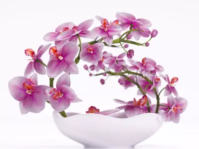 Orchids in bowl 3D model