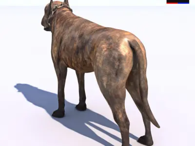 Vicious Dog 3D model