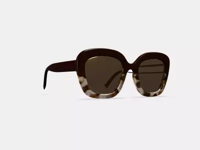 Gabriela Sunglasses in Ganache Tortoise Fade 3D model