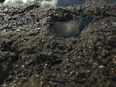 4 - Organic Materials For Environtment Texture