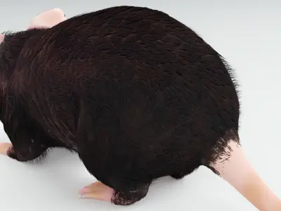 Realistic Mouse rat Low-poly 3D model