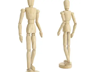 Human Mannequin 3D model