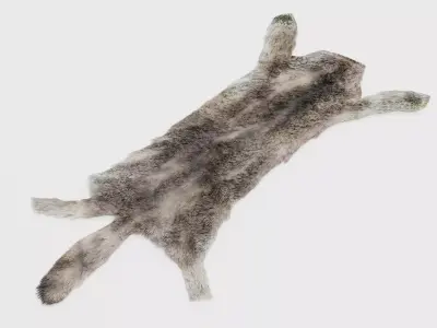 Wolf Skin Rug - Realistic Animal Hide 3D model