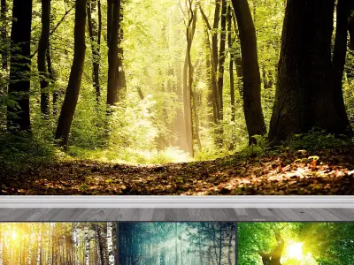 Photo Wallpaper No 2 Low-poly 3D model