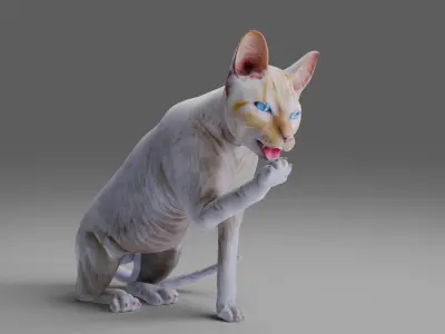 Cat White Rigged and Animated  Low-poly 3D model