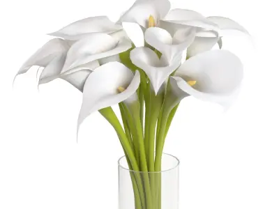 Cala Lily In Vase PBR 3D model