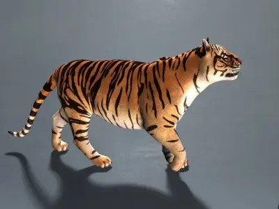 Tiger 3D model get