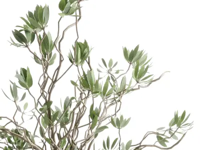 Branches with leaves in an old concrete vase 70 3D model