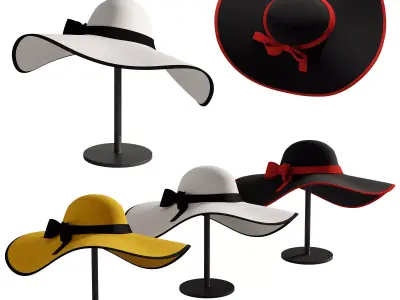 Woman hat 3 3D model