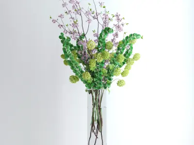 Viburnum plus Moluccella and Cherry blossom  3D model