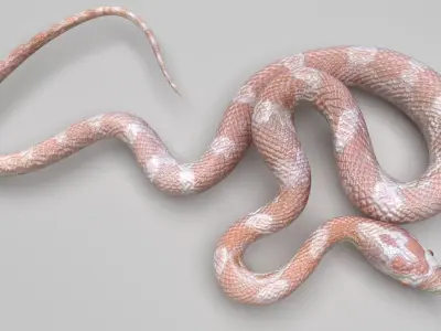 Pink Snake 3D model