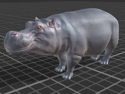 Hippopotamus Low-poly 3D model get
