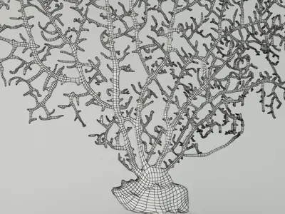 Black Gorgonaria Decoration 3D model