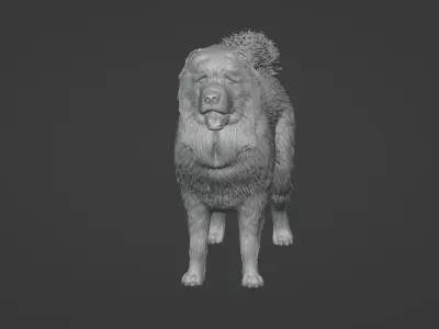 Caucasian Shepherd Dog 3D model