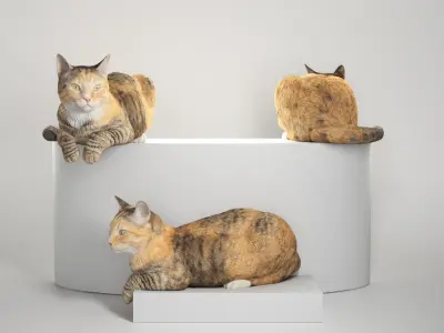 Laying cat 14 Low-poly 3D model