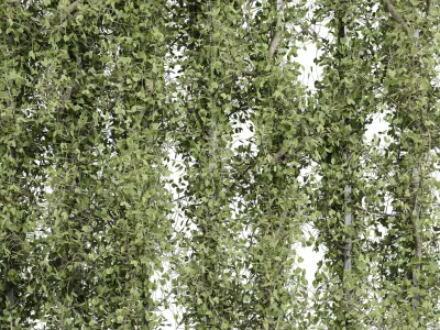 Vertical Wall Garden With Metal frame set 54 Low-poly 3D model