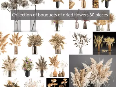 Collection of bouquets of dried flowers 30 pieces  3D model