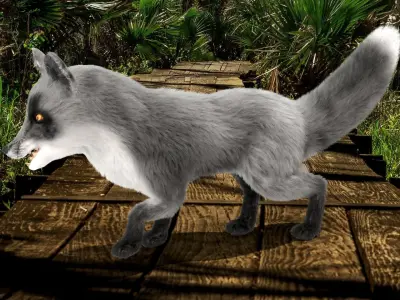 Fur Gray Fox Rigged Model Low-poly 3D model