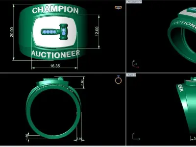 Fancy Mans ring 3D print model