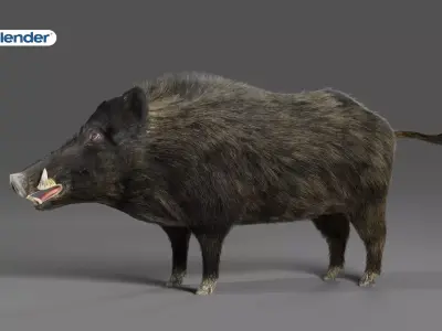 Fur Wild Boar NO Rigged in Blender Low-poly 3D model