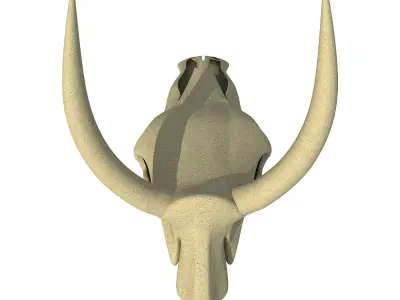 Realistic Cow Skull 3D model