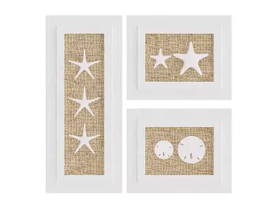 Starfish Wall Decoration 3D model