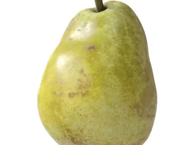 Kieffer Pear 3D model