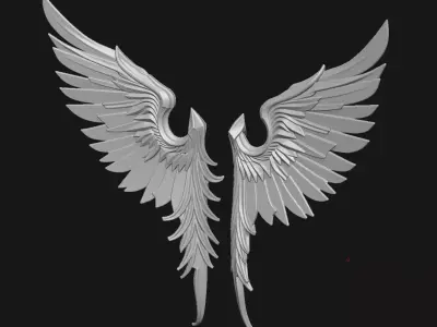 Wings 3D print model