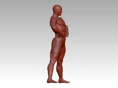 bodybuilding fitness man statue 3D print model