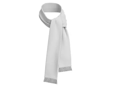 Football Fan Scarf 07 3D model