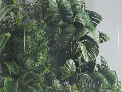 Plants Behind Galss 03 indoor garden Low-poly 3D model