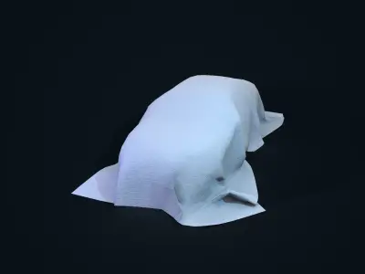 Car Covered Low-poly 3D model