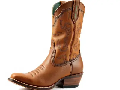 Western Cowboy Boot D Model Pack Low-poly 3D model