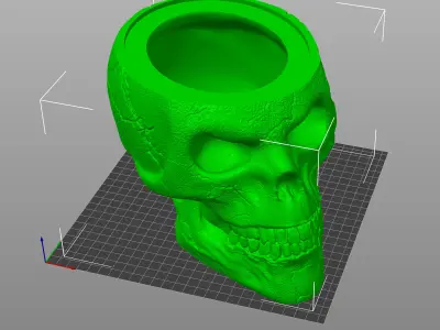 Skull with Christmas Cap 3D print model